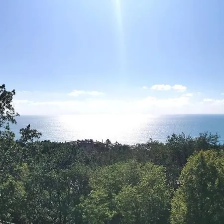 Bor, Варна