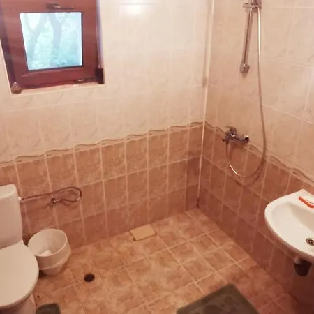 Къща за гости Bor,